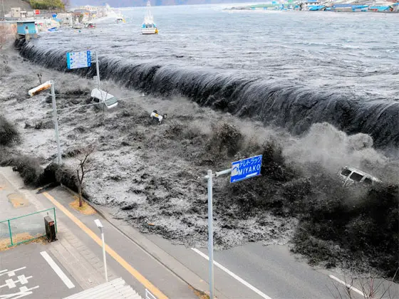 The Recent Japanese Tsunami